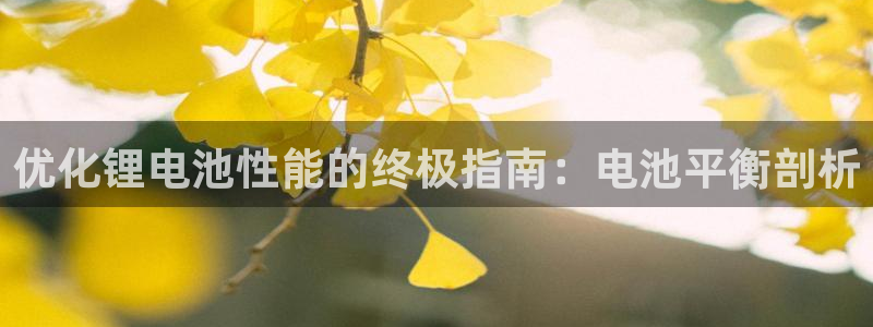 尊龙实业有限公司是正规还是仿