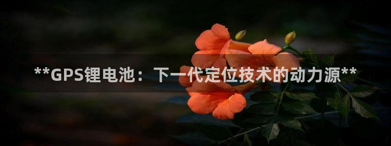 凯时官网手机版首页