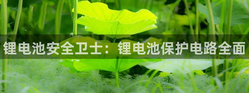 尊龙官方app下载
