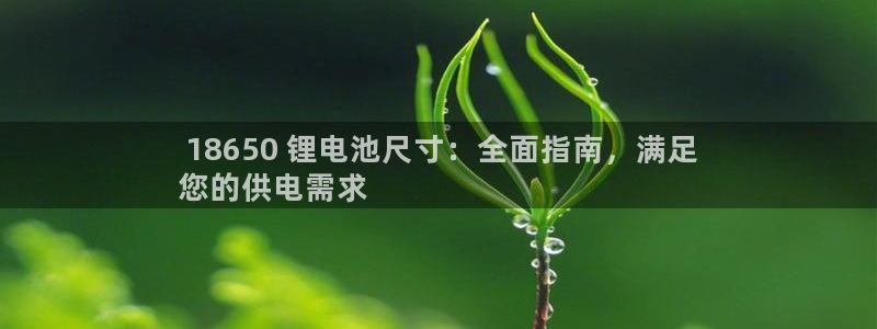 尊龙凯时是直营吗