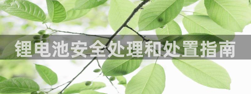尊龙d88平台版下载