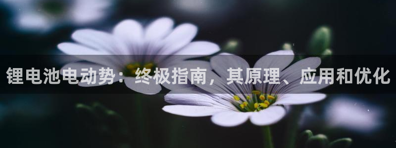凯时AG网
