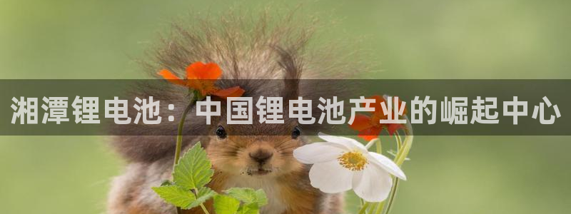 尊龙凯时官网平台