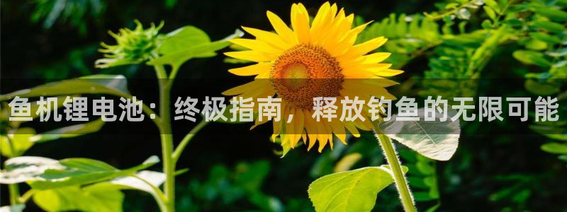 z6尊龙凯时官方