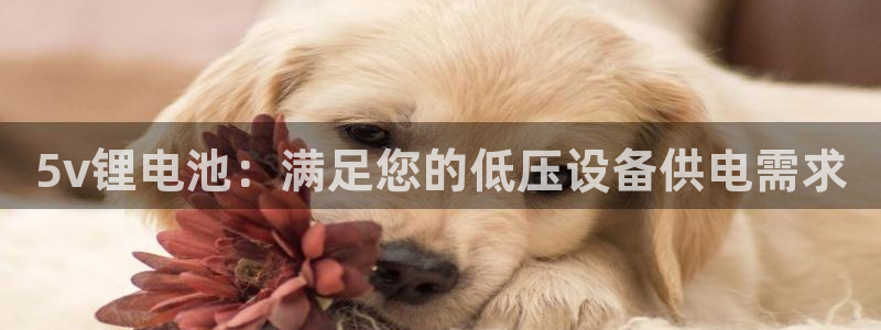 尊龙集团有限公司