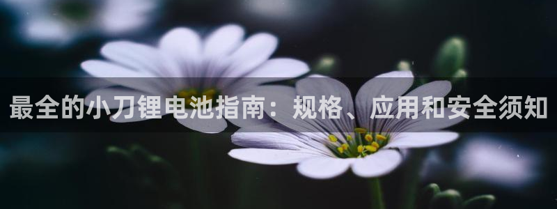 尊龙人生就是一博!