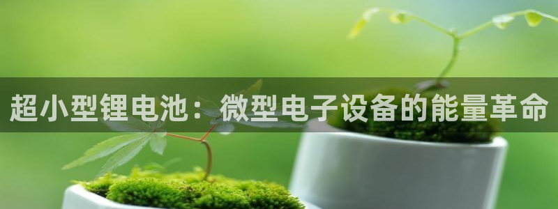 尊龙凯时人生就博官网