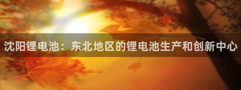 尊龙凯时平台不给出款怎么办