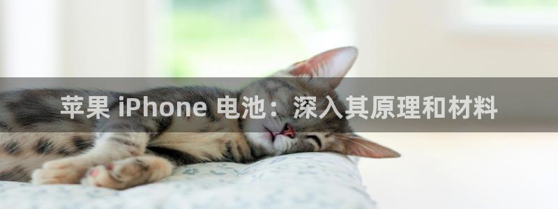 尊龙coming to my own