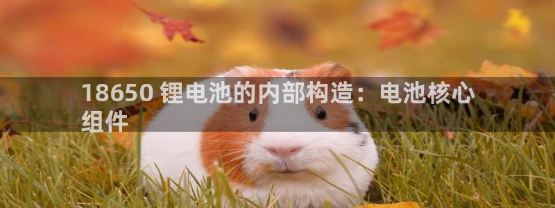 尊龙人生就是博手机版下载