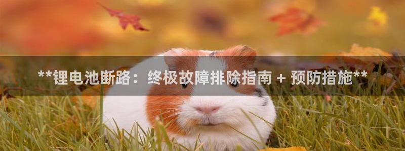 尊龙凯时家居是品牌吗