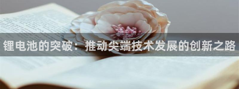 尊龙凯时法拉币