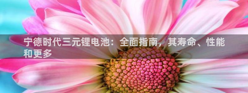 尊龙凯时代理佣金发不发