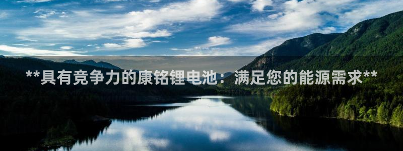 尊龙网站手机下载