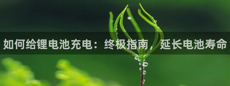 ZL尊龙凯时平台