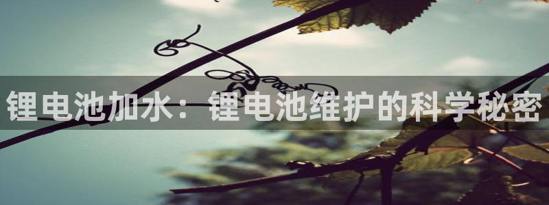 z6尊龙官网