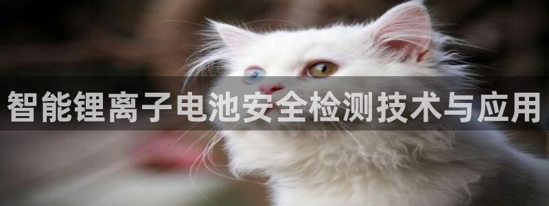 d88尊龙平台开户