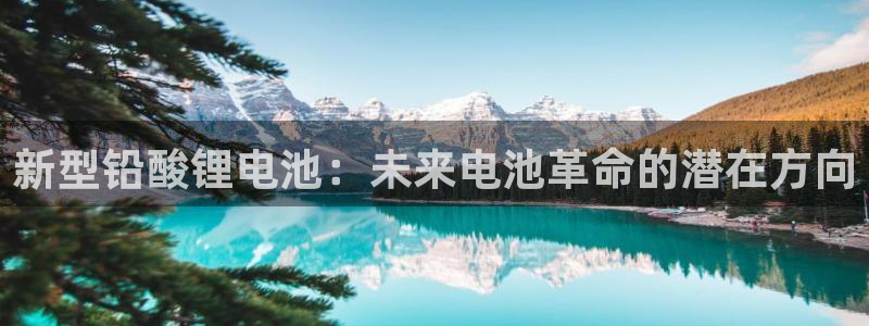 尊龙凯时网站怎么样