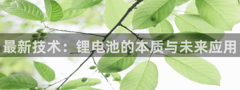 d88尊龙可靠送38元
