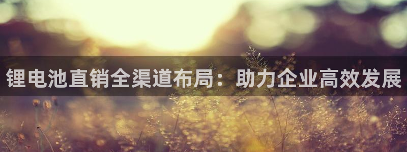 尊龙人生就是博菲律宾台子