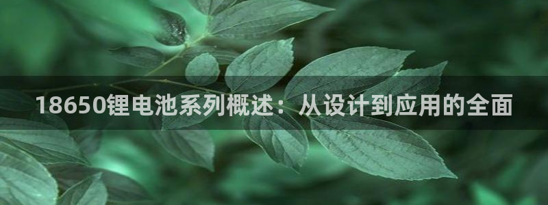 尊龙d88手机版下载