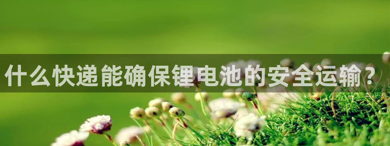 尊龙凯时官网平台