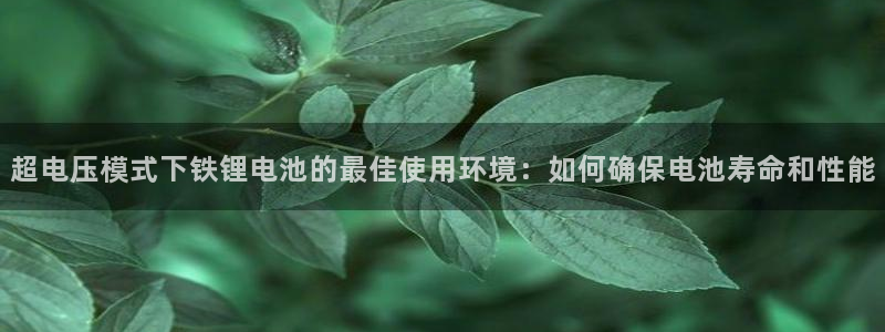 尊龙怎么没消息了
