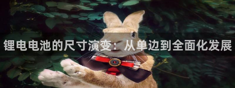 尊龙凯时百家乐手机下载