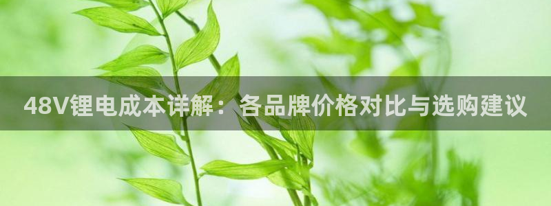 尊龙凯时取款24小时不到账