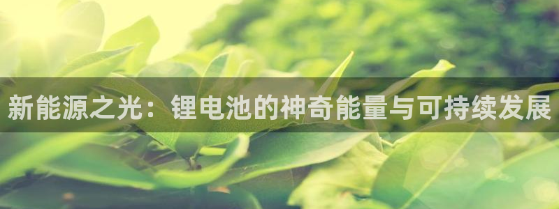 尊龙凯时代理佣金发不发