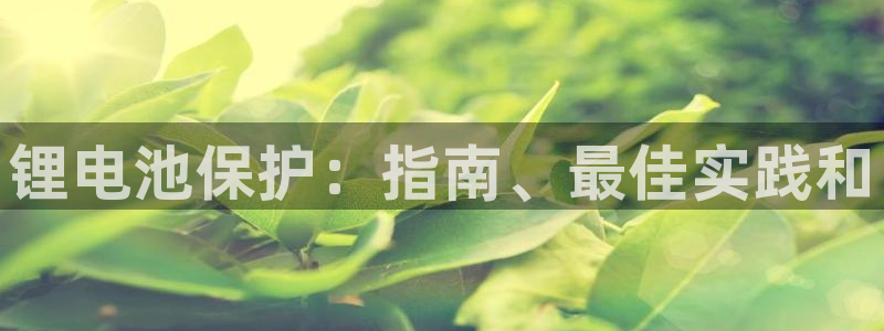 尊龙凯时请求参数不符合：锂电池保护：指南、最佳实践和