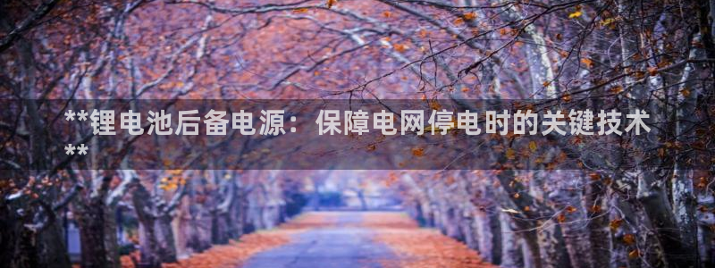 尊龙凯时人生就是搏技术实力：**锂电池后备电源：保障电网停电时的关键技术
**
