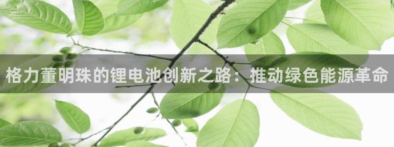 尊龙凯时和九游会哪个平台好一点
